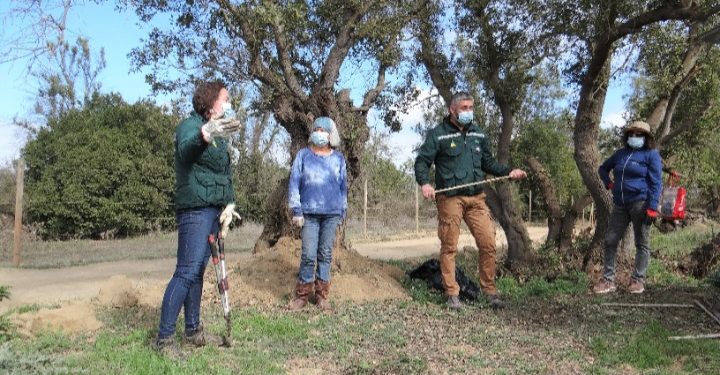 En Papudo vecinos de El Tome aprenden a manejar la vegetación para prevenir incendios forestales