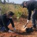 Valparaíso: reforestan trece hectáreas en Parque Quebrada Verde
