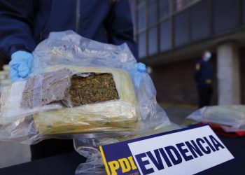 Llay Llay: en peaje Las Vegas incautan millonario cargamento de cannabis sativa