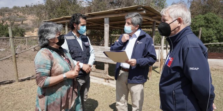 Más de 3 mil pequeños ganaderos y apicultores de la Región de Valparaíso recibirán bono de emergencia