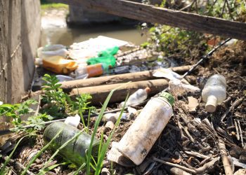 Serios problemas de salud para las personas y muerte de animales por uso de plaguicidas y agroquímicos son denunciados por habitantes de Llay Llay y Catemu