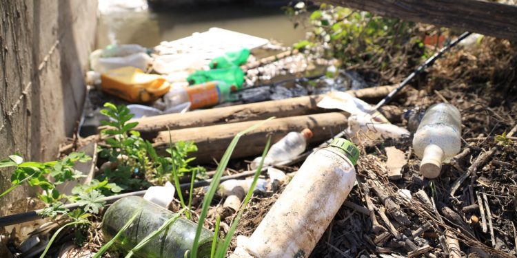 Serios problemas de salud para las personas y muerte de animales por uso de plaguicidas y agroquímicos son denunciados por habitantes de Llay Llay y Catemu