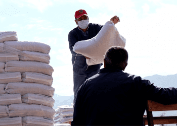 Entregarán ayudas a agricultores, crianceros y apicultores de Cabildo no beneficiarios de Indap