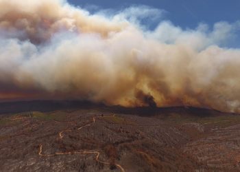 Instan a reforzar la prevención de incendios forestales durante este fin de semana largo