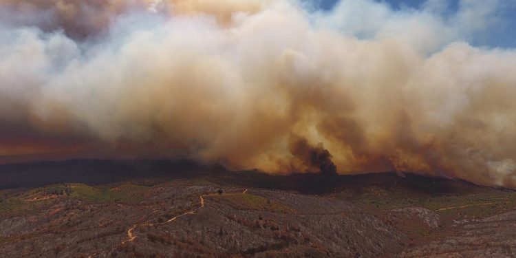 Instan a reforzar la prevención de incendios forestales durante este fin de semana largo