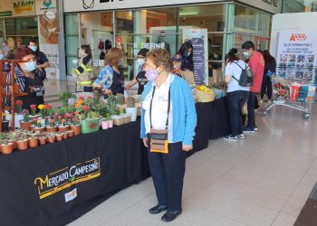 Los Andes: exitosa fue la reapertura del Mercado Campesino de INDAP