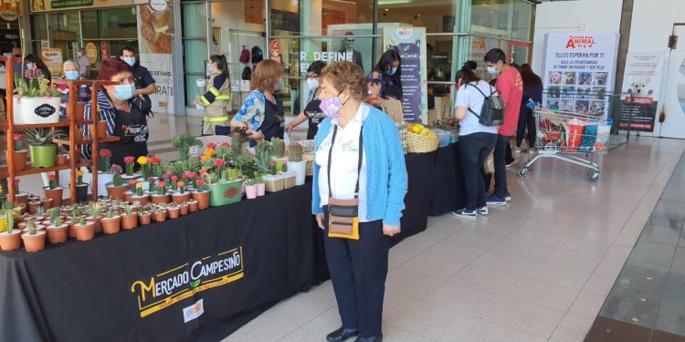 Los Andes: exitosa fue la reapertura del Mercado Campesino de INDAP