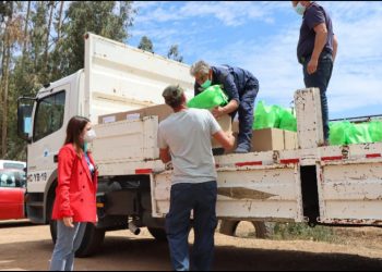 Cabildo: municipio hace entrega de más de 200 canastas de alimentos a familias campesinas