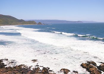 Opinión / Del mar a la Constitución