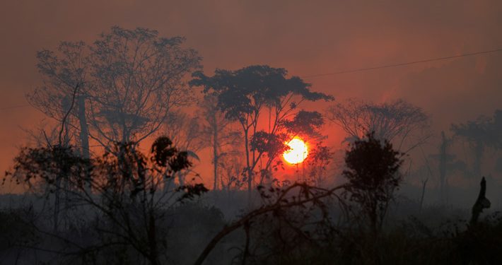 La Amazonía ha perdido en 35 años un área equivalente a Chile según estudio