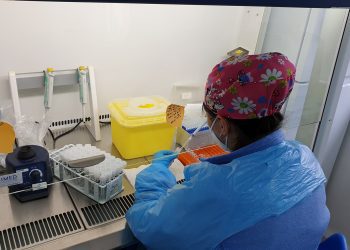 En un año de funcionamiento más de 50 mil exámenes PCR ha procesado el Laboratorio de Biología Molecular de SaludQuillota