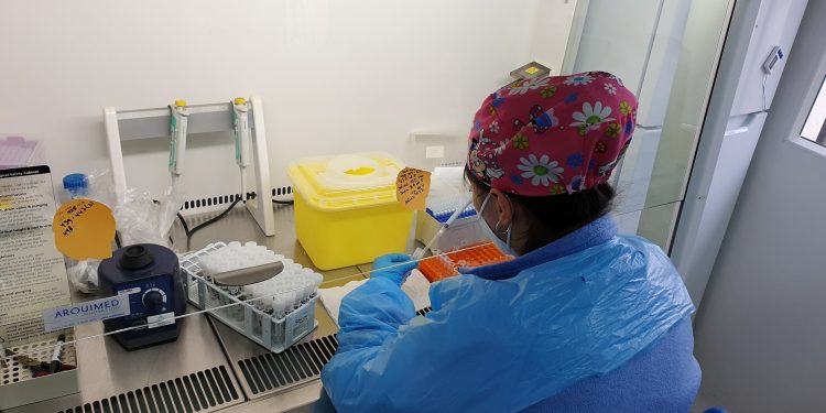 En un año de funcionamiento más de 50 mil exámenes PCR ha procesado el Laboratorio de Biología Molecular de SaludQuillota