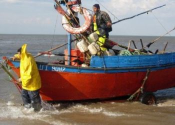 TC declaró admisible requerimiento de inconstitucionalidad de proyecto que busca incluir a pescadores artesanales en Bono Alivio Pymes