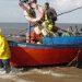 TC declaró admisible requerimiento de inconstitucionalidad de proyecto que busca incluir a pescadores artesanales en Bono Alivio Pymes