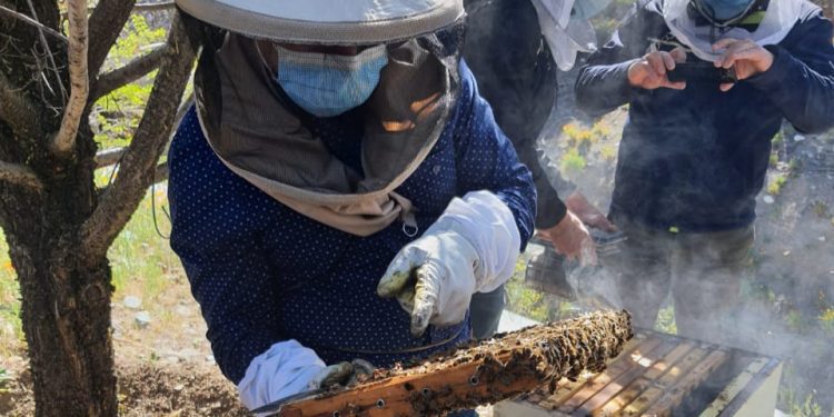 San Esteban: apicultores firman convenio para potenciar producción de miel afectada por sequía