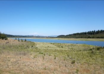 Alarmante reporte hídrico revela que déficit de agua caída supera el 70% en la Región de Valparaíso