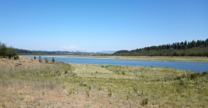 Alarmante reporte hídrico revela que déficit de agua caída supera el 70% en la Región de Valparaíso