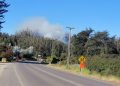 Incendio forestal se registró en el cruce Quintay de la Ruta 68