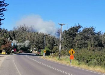 Incendio forestal se registró en el cruce Quintay de la Ruta 68