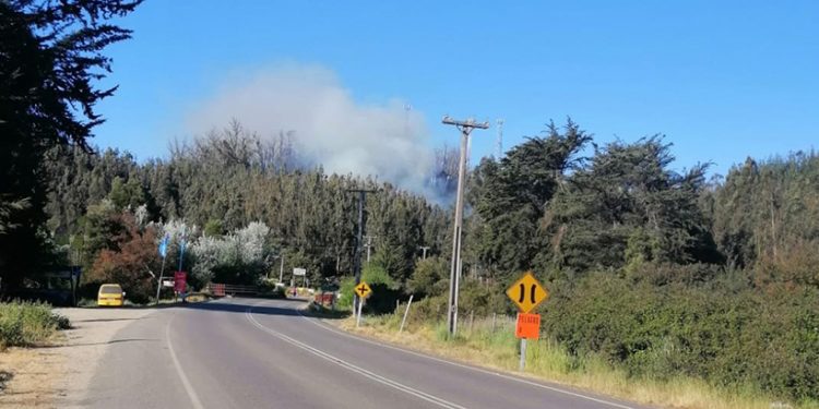 Incendio forestal se registró en el cruce Quintay de la Ruta 68