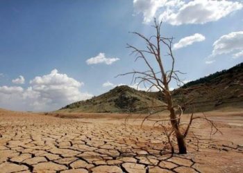 Comisión de Agricultura presenta inédito proyecto: la primera Ley Marco de Suelos para Chile