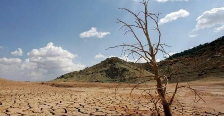 Comisión de Agricultura presenta inédito proyecto: la primera Ley Marco de Suelos para Chile