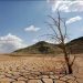 Comisión de Agricultura presenta inédito proyecto: la primera Ley Marco de Suelos para Chile
