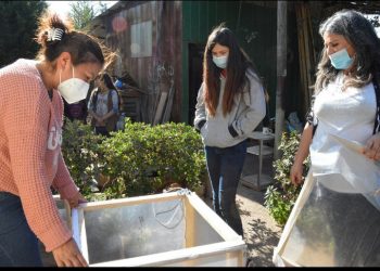 Puchuncaví: UPLA se adjudicó fondos para recuperar suelos degradados