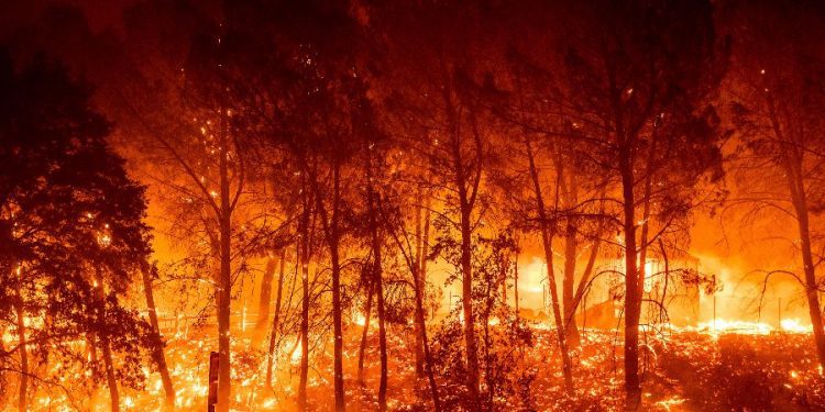 Incendios: desde Valparaíso llaman a avanzar en una ley de prevención 