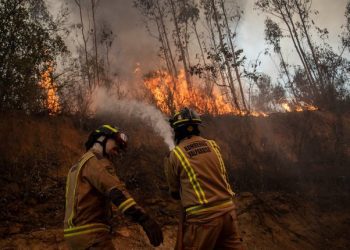 Plan Regional de Emergencias Forestales es aprobado por el Comité para la Gestión del Riesgo de Desastres