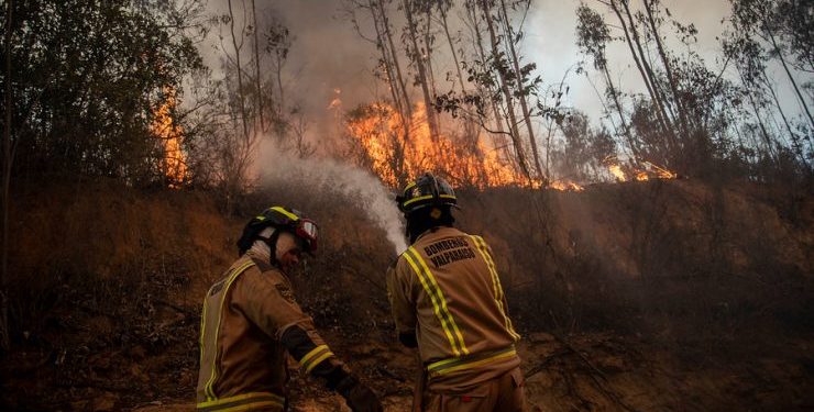 Plan Regional de Emergencias Forestales es aprobado por el Comité para la Gestión del Riesgo de Desastres