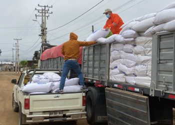 En Zapallar concretan convenio para compra de alimento para animales de productores afectados por la falta de agua