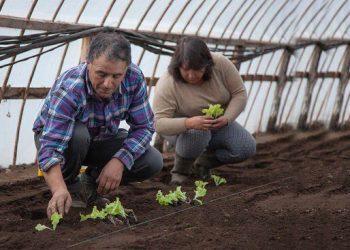 Seminario abordó la pobreza rural y experiencias ejemplares para su superación en Chile y América Latina