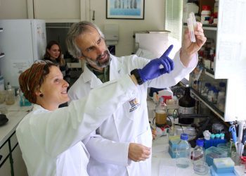 En EE.UU: investigadores chilenos se adjudican patente de fármaco con propiedades antibióticas a partir del erizo negro de mar