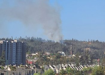 Fue controlado el incendio forestal que afectó al camino La Pólvora en Valparaíso
