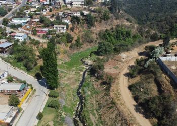 «Viña Decide»: el 70,1 % de los habitantes de la comuna apuesta por un plan de protección para espacios naturales