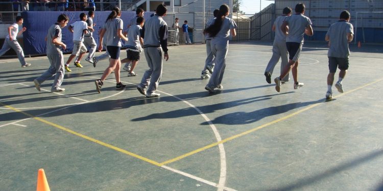 Para evitar riesgos: libro plantea vigilar fitness cardiorrespiratorio en población infanto-juvenil