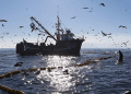Las propuestas de los candidatos presidenciales en pesca artesanal, acuicultura y desarrollo costero