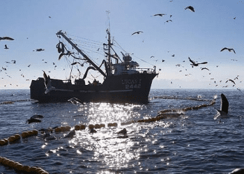 Las propuestas de los candidatos presidenciales en pesca artesanal, acuicultura y desarrollo costero