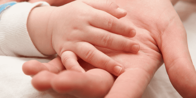 Proyecto sobre filiación de hijos de parejas del mismo sexo inicia su discusión en particular en la Sala del Senado