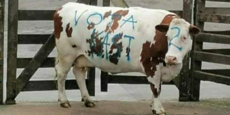 Todo tiene un límite: campaña de Kast raya un animal para conseguir la Presidencia
