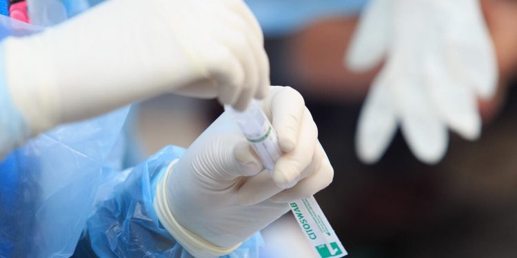 Detectan primer caso de variante Ómicron en Chile y es de la Región de Valparaíso
