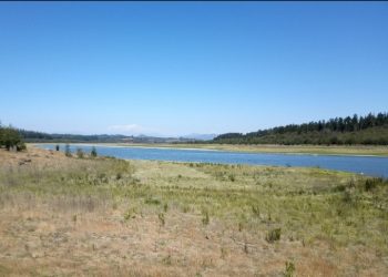 Déficit de lluvias en la Región de Valparaíso bordea el 75%