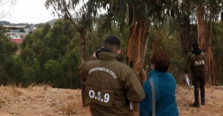 Viña del Mar: rescatan a mujer amarrada con alambre de púas en una quebrada de Reñaca