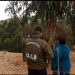 Viña del Mar: rescatan a mujer amarrada con alambre de púas en una quebrada de Reñaca