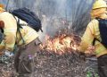 En la provincia de Marga Marga se organizan frente al alto riesgo de incendios forestales