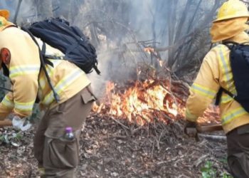 En la provincia de Marga Marga se organizan frente al alto riesgo de incendios forestales