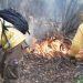 En la provincia de Marga Marga se organizan frente al alto riesgo de incendios forestales