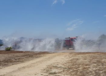 Hasta 101 mil hectáreas de quema se generan en época de incendios forestales