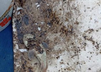 200 litros de combustible fueron derramados en la bahía de Quintero y Puchuncaví en última emergencia